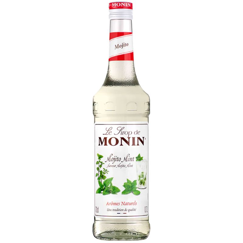 Verzakking mannetje Jeugd Monin Mojito Mint Syrup 70cl online kopen? | GinFling.nl