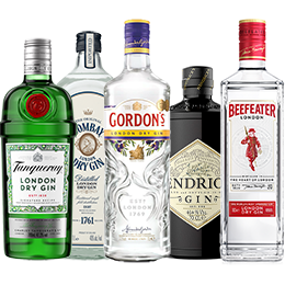 Top 10 Gin Brands